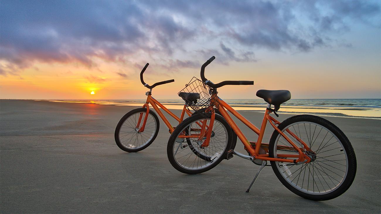 Bike Rentals